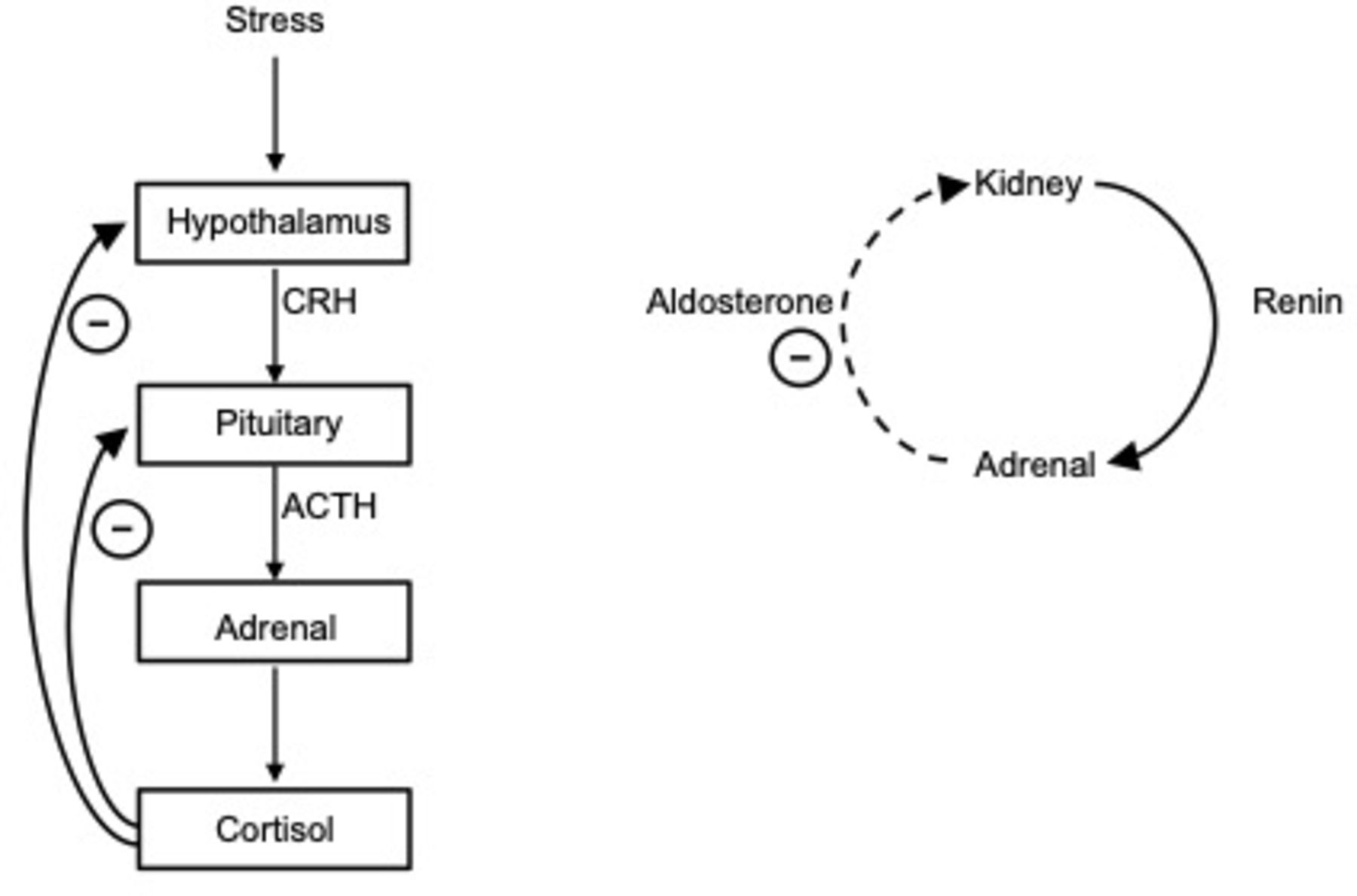Adrenal insufficiency Journal of Clinical Pathology