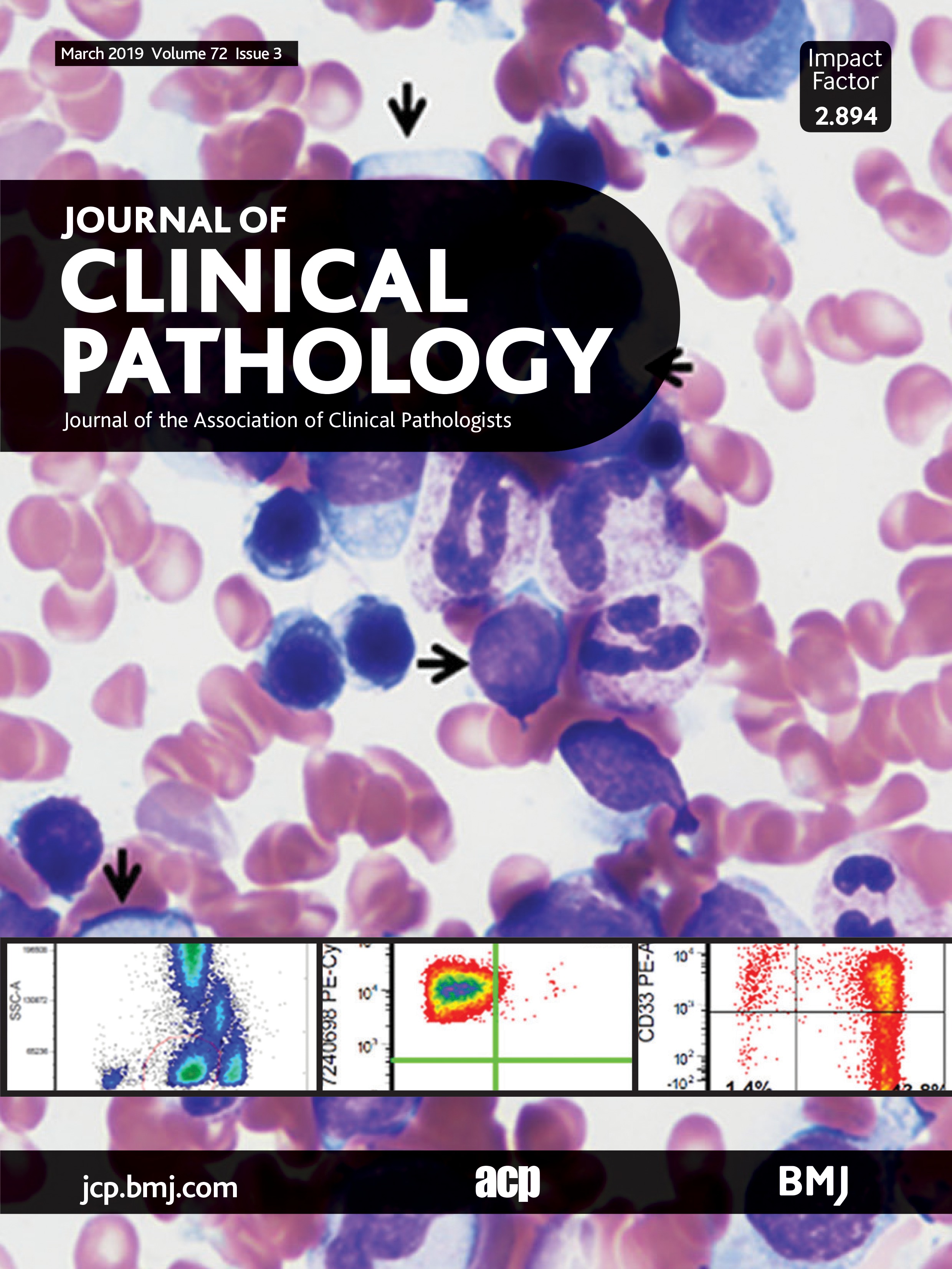 Futureproofing pathology part 2 building a business case for digital