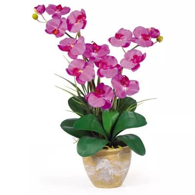 Nearly Natural Double Phalaenopsis Silk Orchid Flower Arrangement