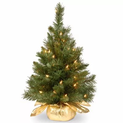 National Tree Co. 2 Foot Majestic Fir Fir PreLit Christmas Tree, Color