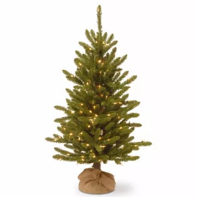 Jcpenney Pre Lit Christmas Trees National Tree Co. 4 Foot Kensington Burlap PreLit Christmas Tree