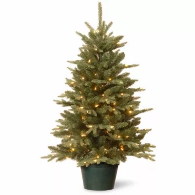 Jcpenney Pre Lit Christmas Trees National Tree Co. Everyday Collections Small Potted 3 Foot PreLit