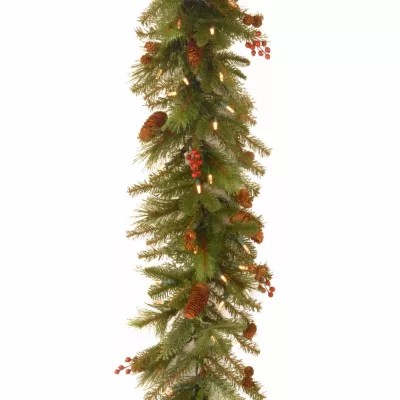Jcpenney Christmas Garland National Tree Co. Noelle Indoor Outdoor Christmas Garland, Color Green