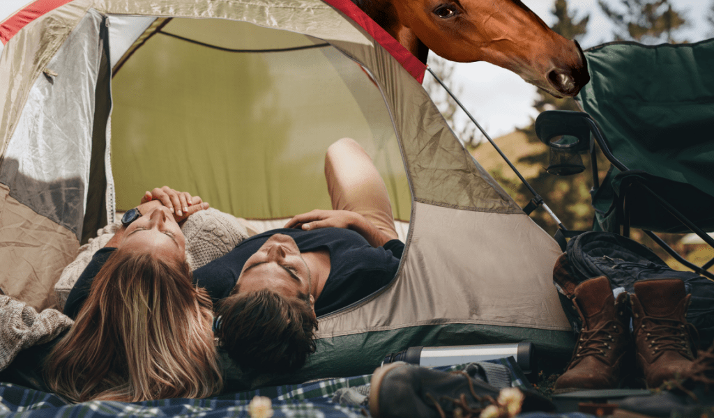 Camping, Wild Horses, and the Search for Balance Jewish Community