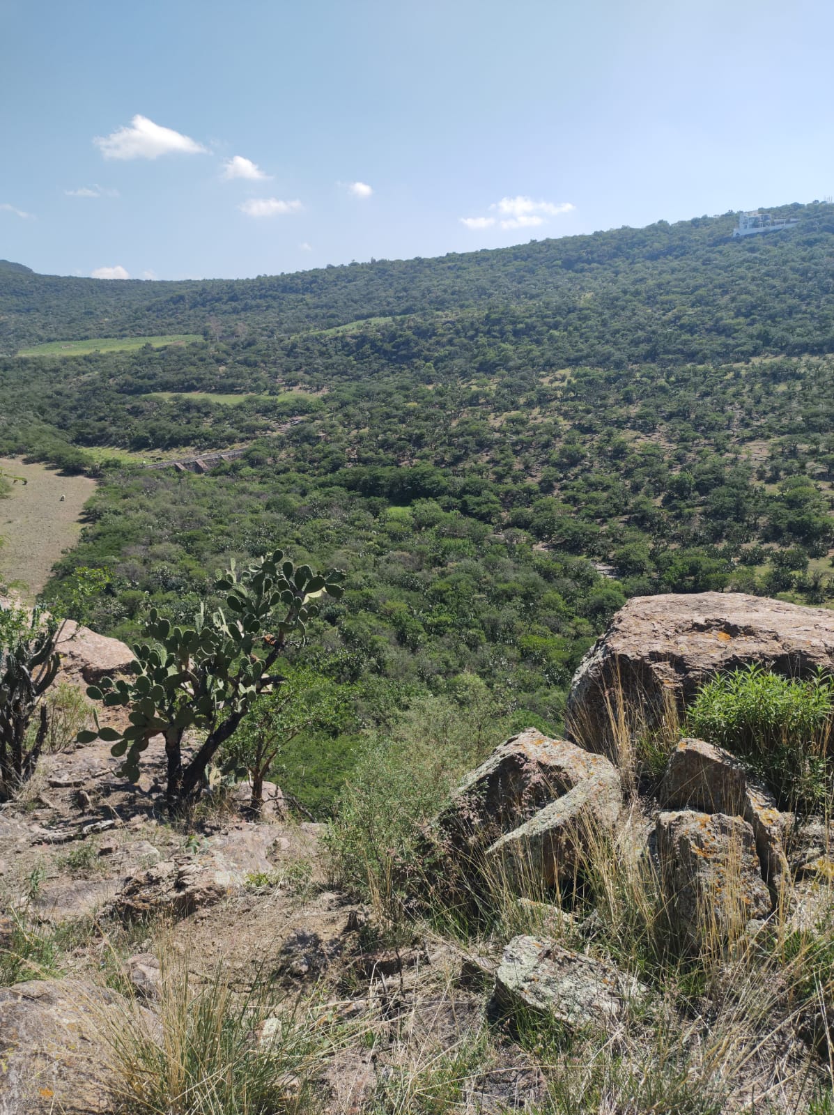 180JCTTVC TERRENO EN VENTA EN LOS COLOMOS, CALVILLO AGUASCALIENTES