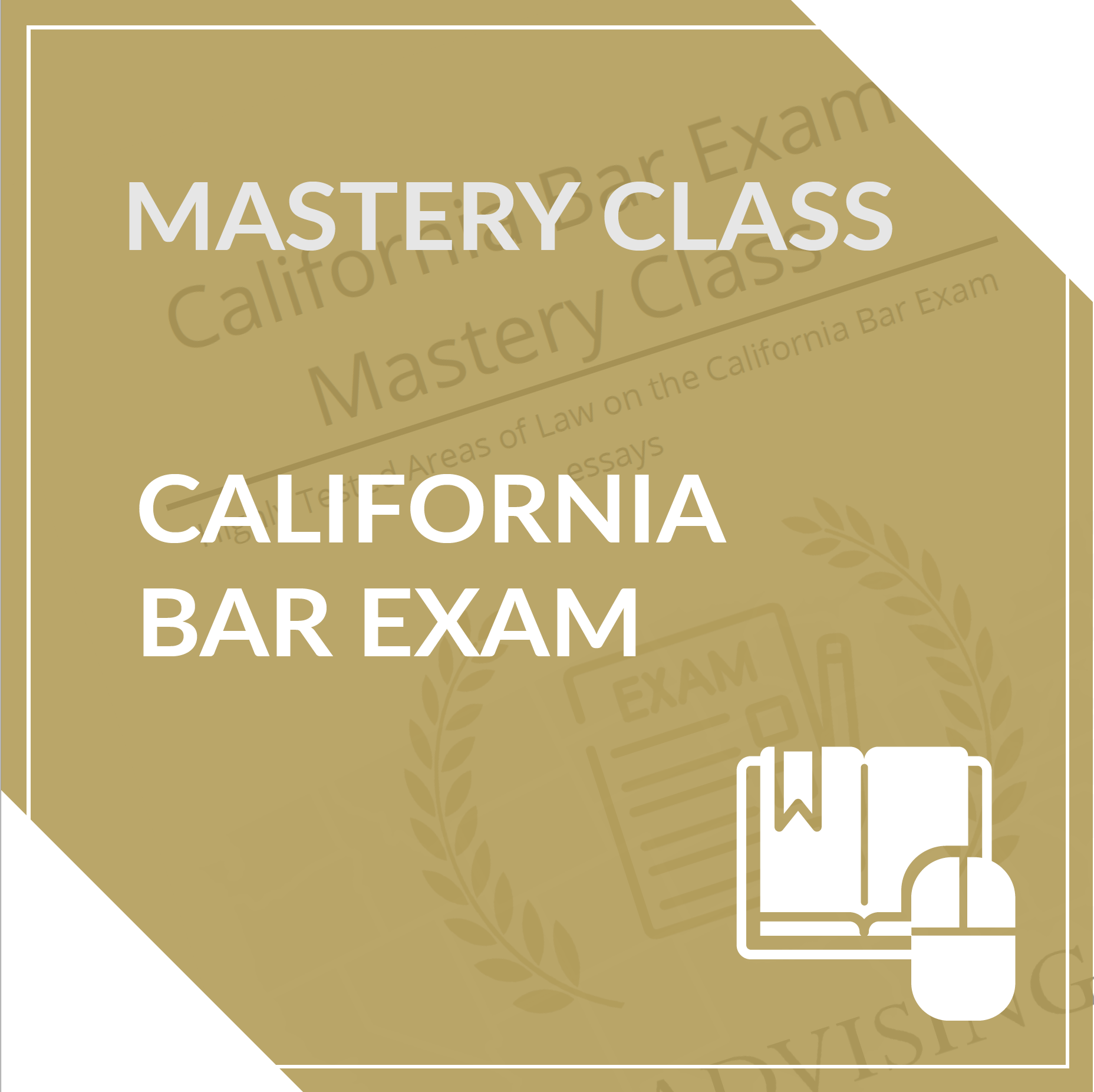 MBE Mastery Class JD Advising