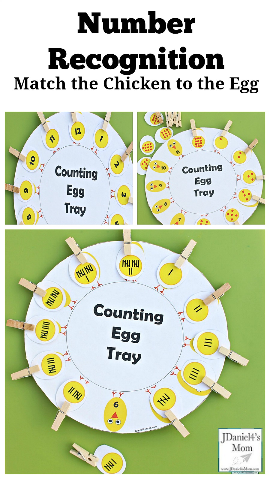 Number Recognition Counting Egg Tray