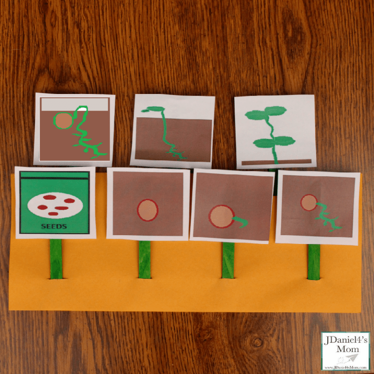 Plant Life Cycle Activity and Printable Cards
