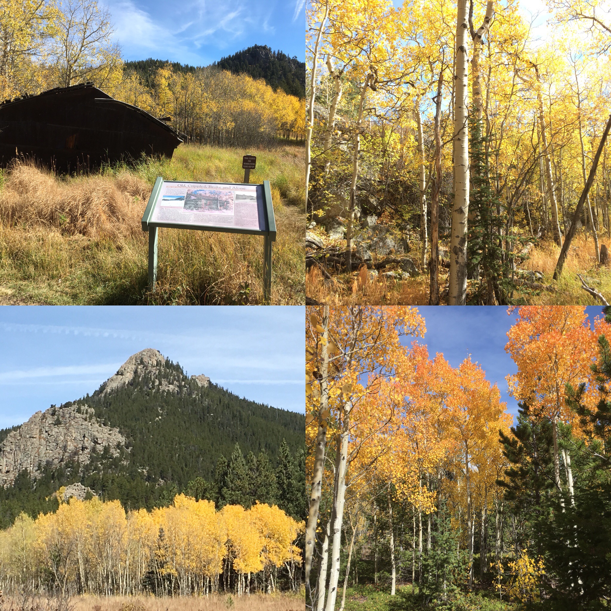 Golden Gate State Park Pathways