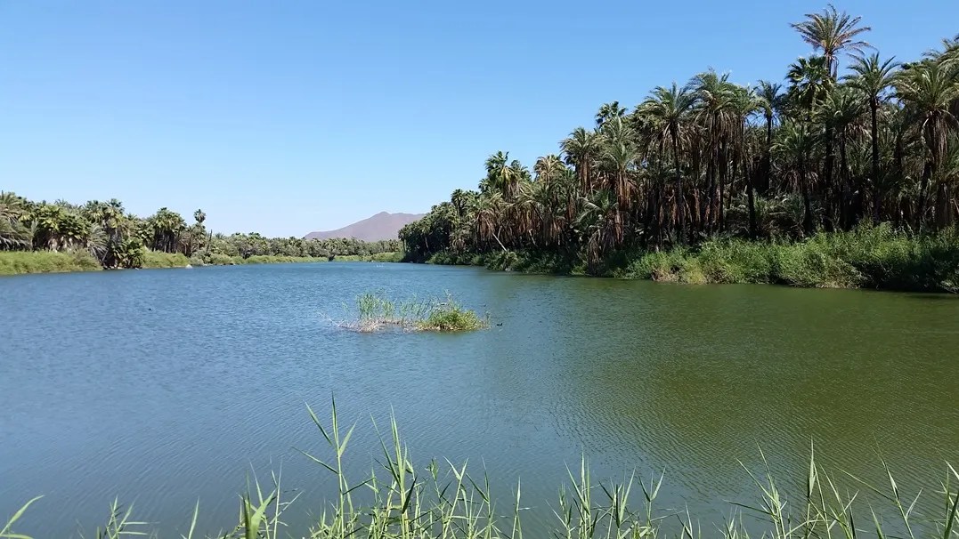 San Ignacio Baja Mexico 2017 376 JD Jetting