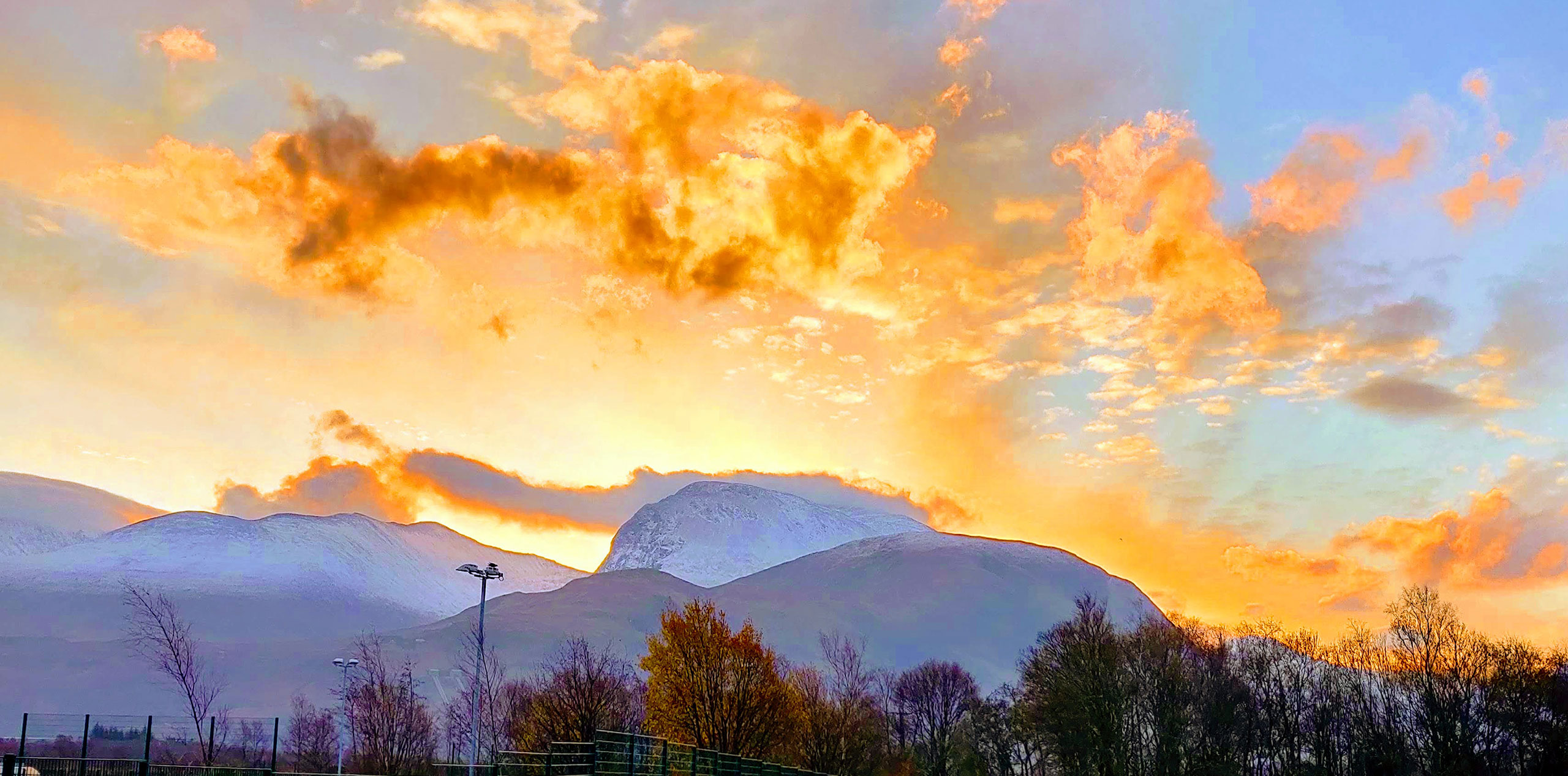 A Litter of Bones Image Gallery JD Kirk