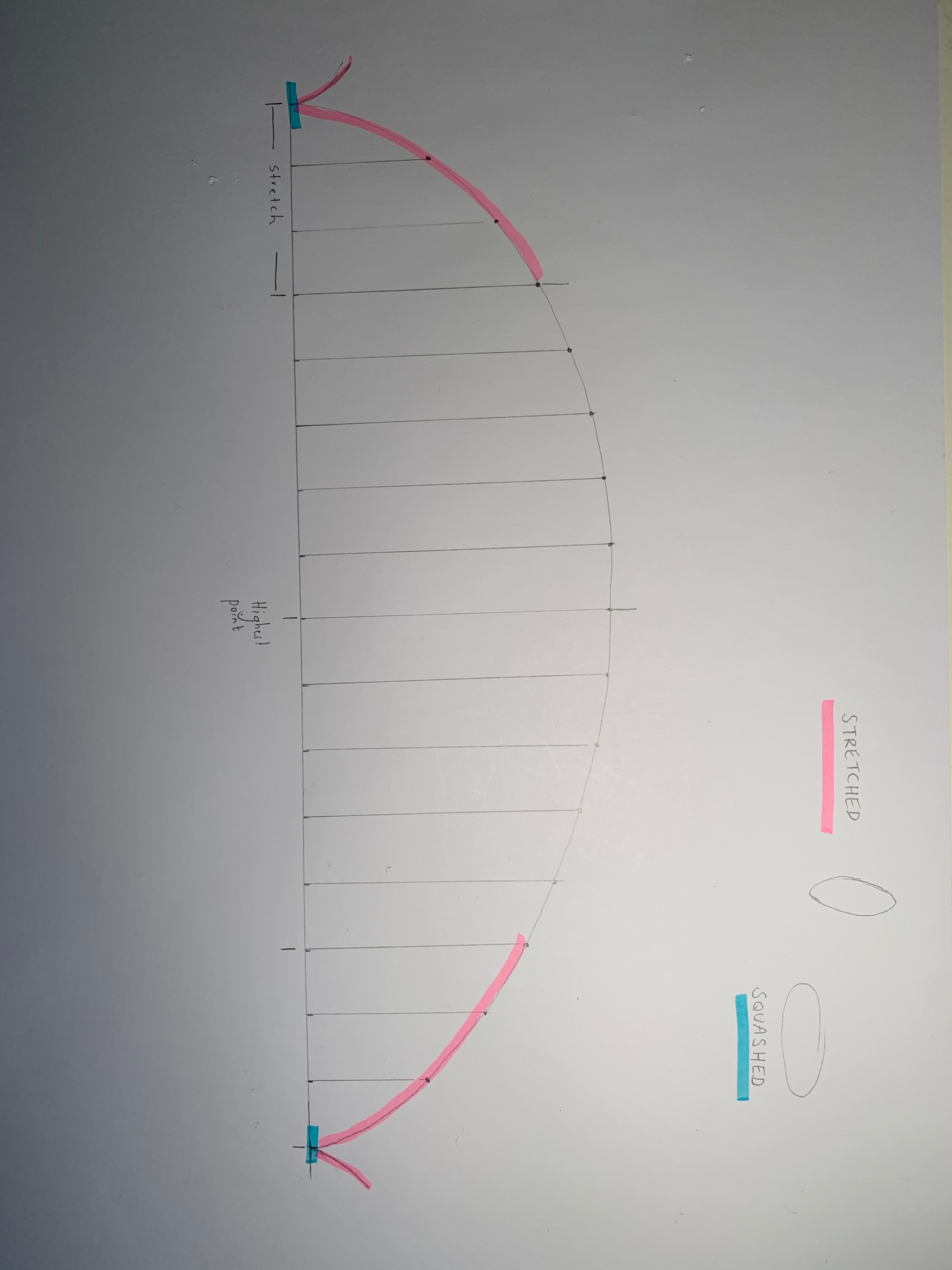 Learning how to Squash and Stretch in Animation JDL ANIMATION & GRAPHICS