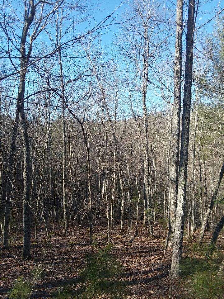 Tranquility at Carters Lake Lot 168, Ellijay, Ga J Durham