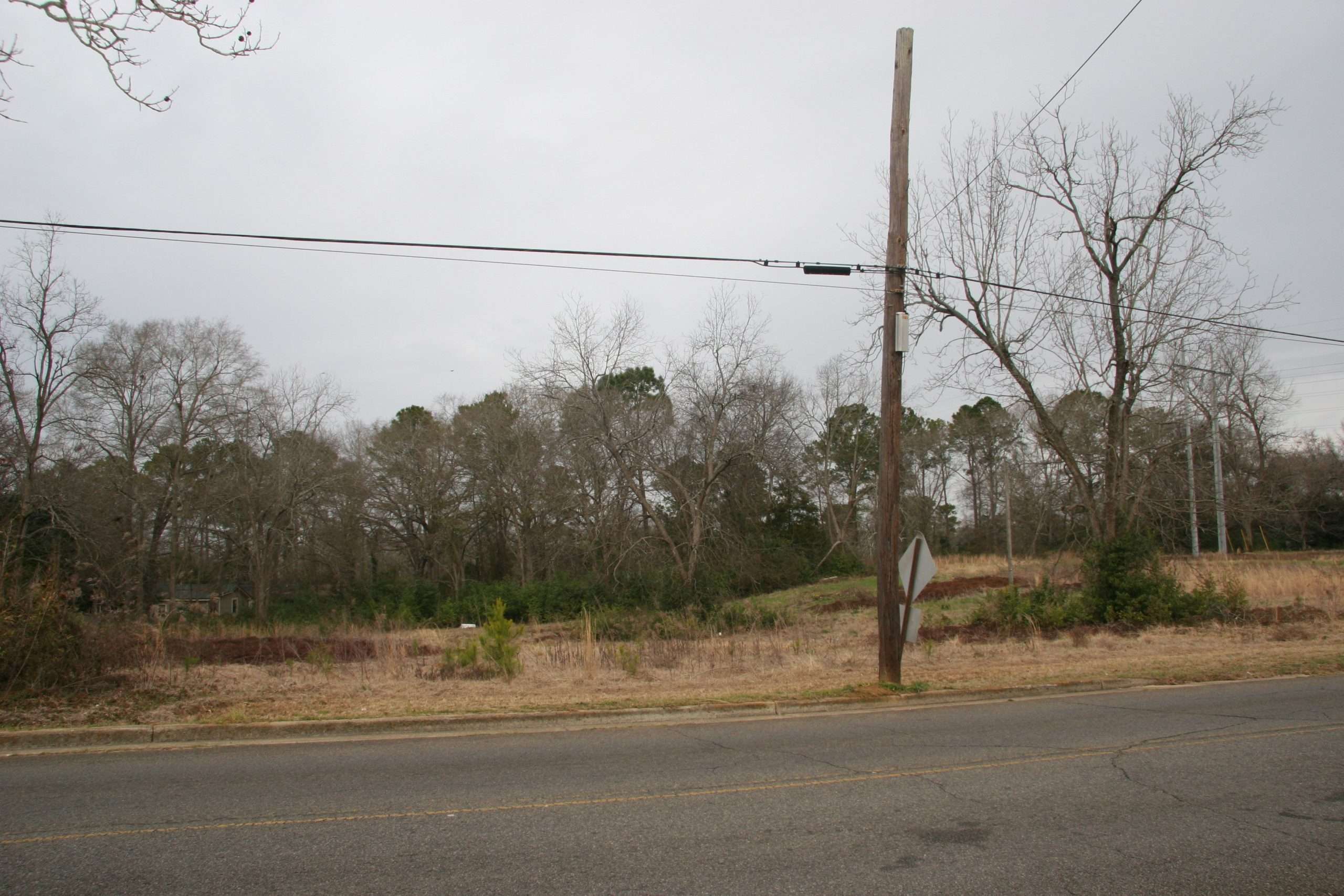 Residential Lot In Americus, GA J Durham