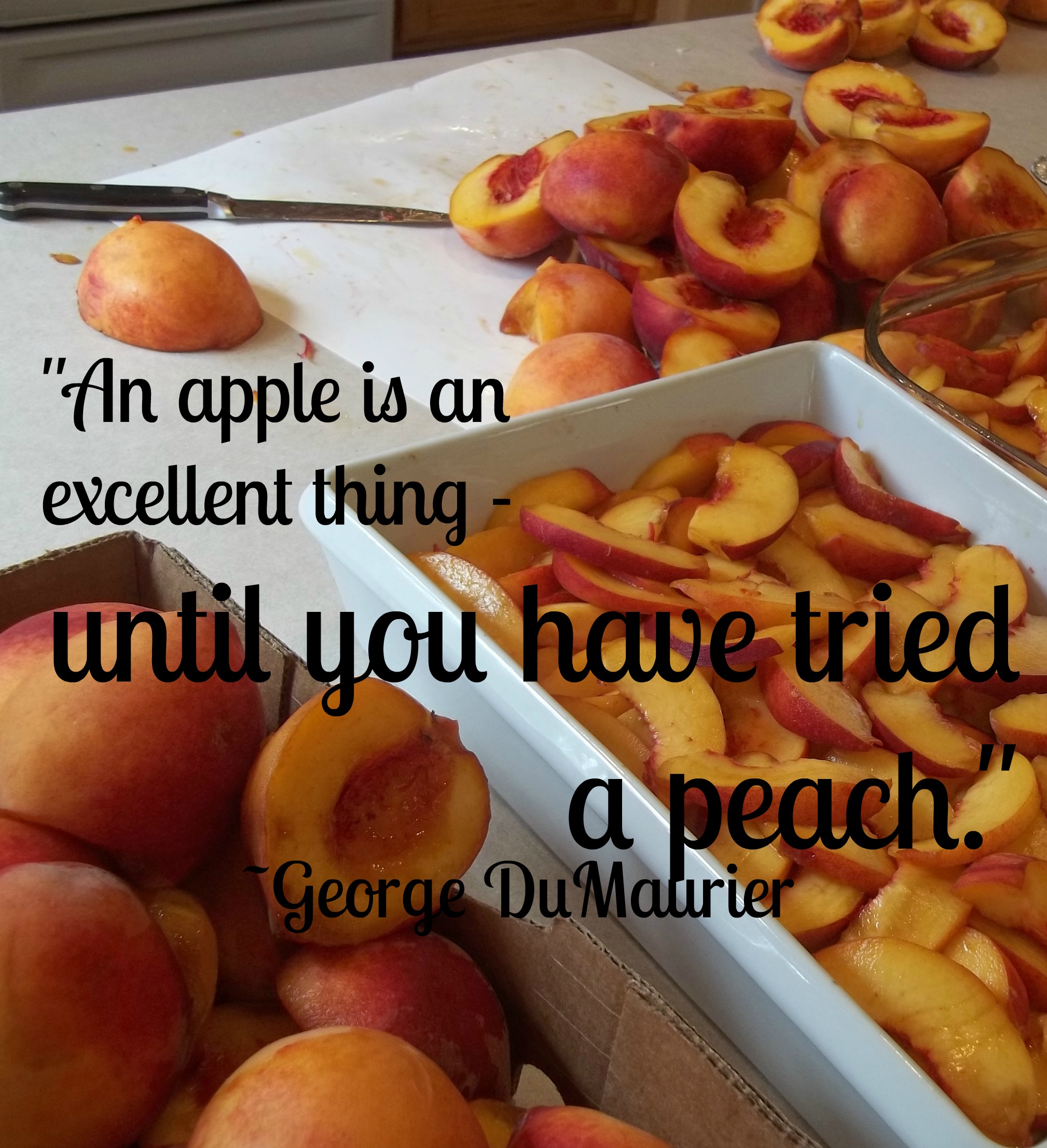 peach quote Jeanie Rhoades // Thought Collage