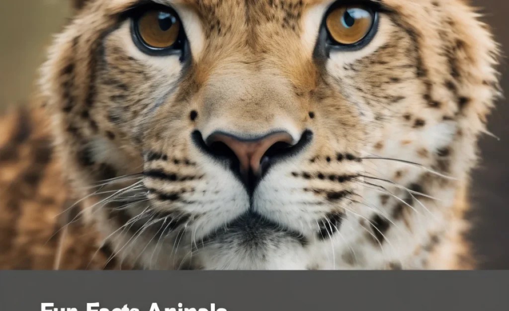 fun facts about animals