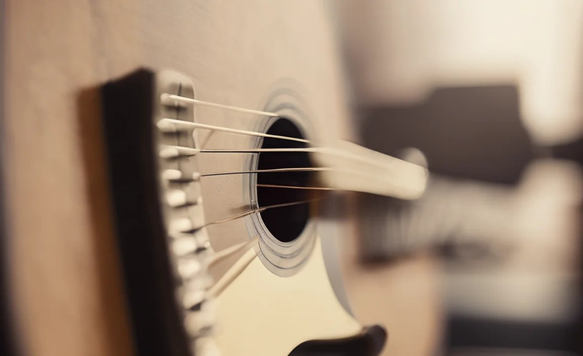 The Power of Music on the Brain