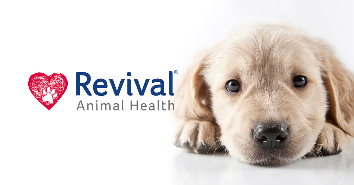 is excited to the Revival Animal Health affiliate