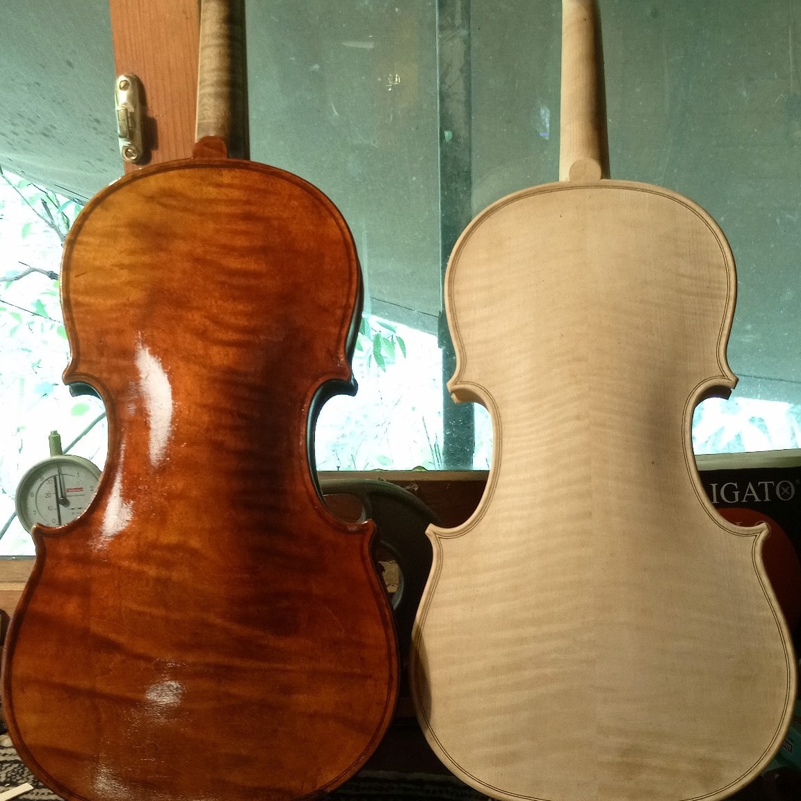 Ilja Grawert Violins Brisbane Australia Jedistar