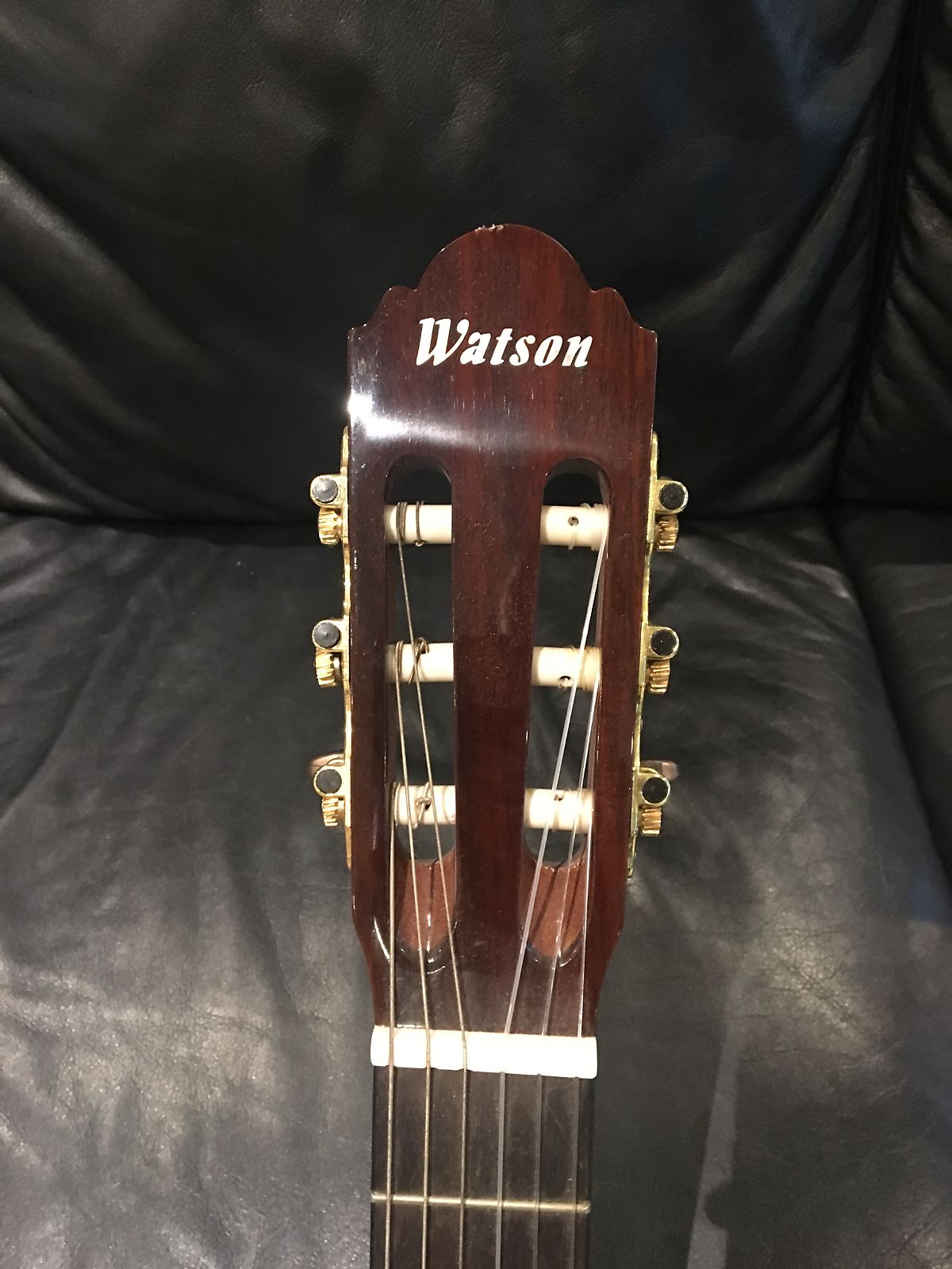 Watson guitars Jedistar