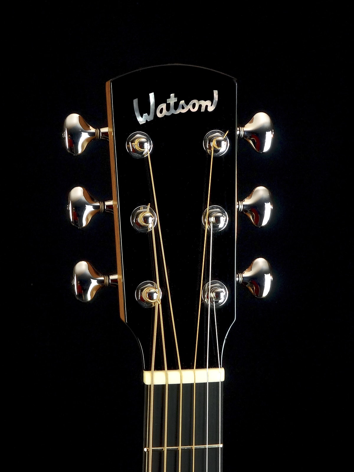 Brian Watson guitars Jedistar