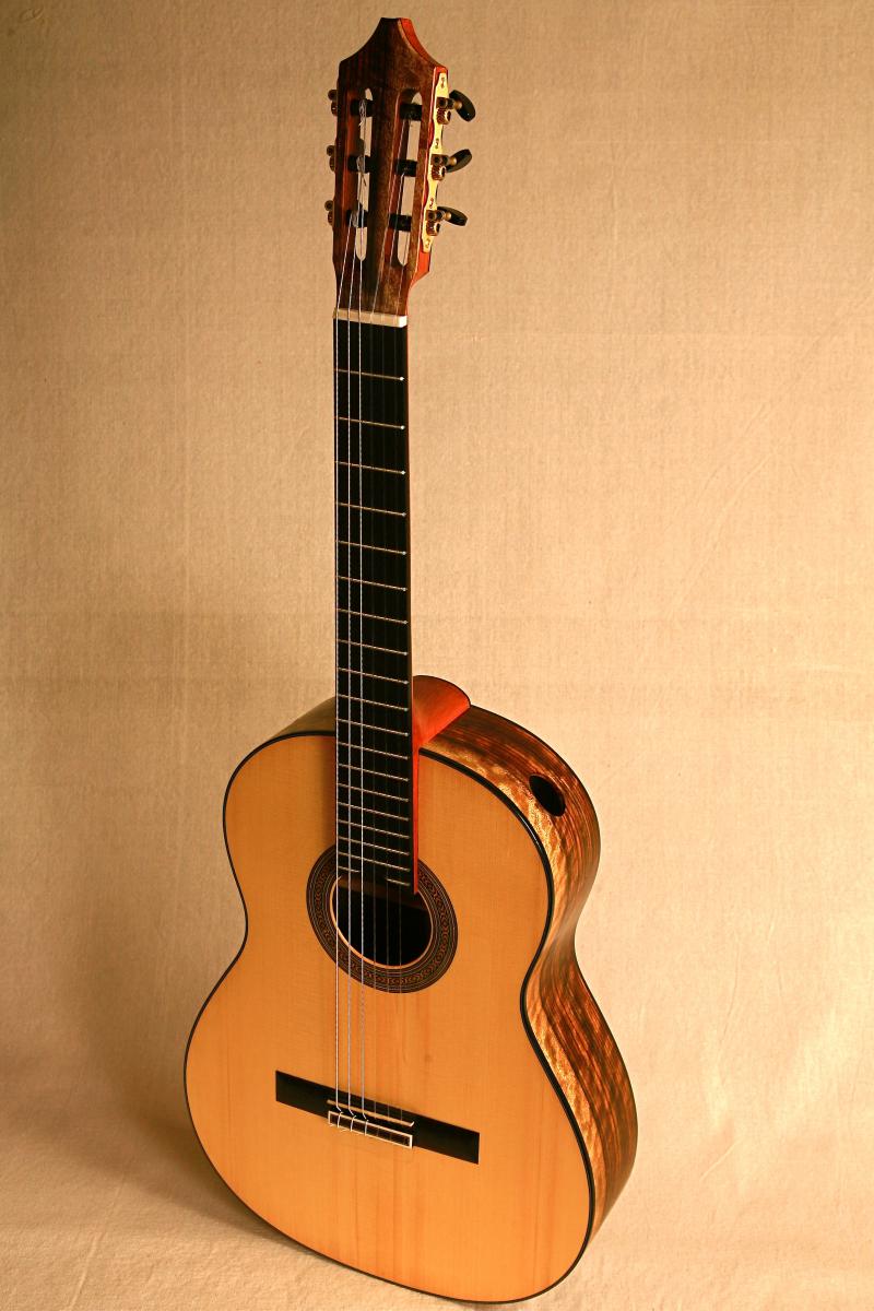 Sonora and Duane Waterman Fine Guitars from Tucson Arizona Jedistar