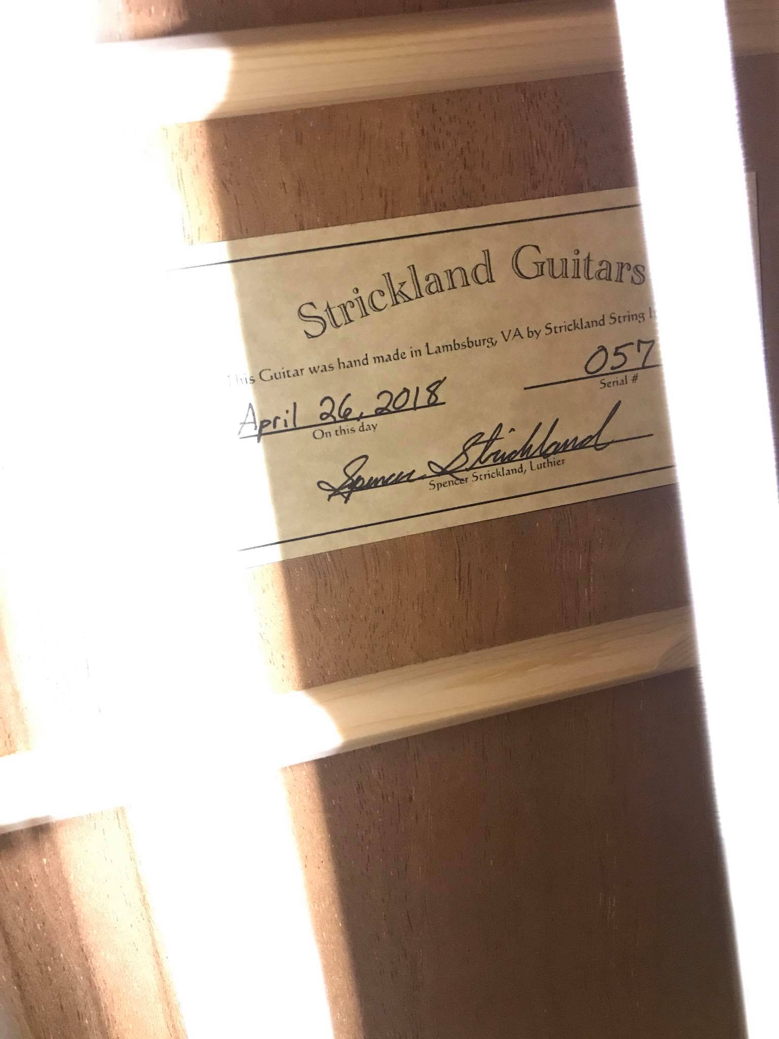 Strickland String Instruments Virginia Jedistar