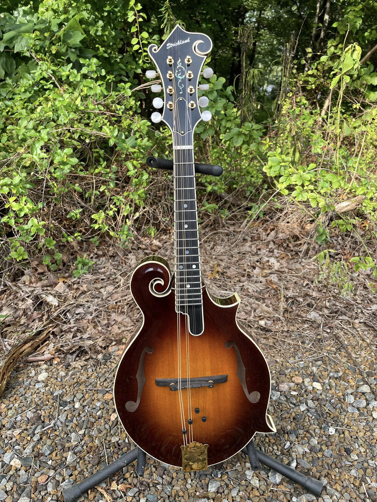 Strickland String Instruments Virginia Jedistar