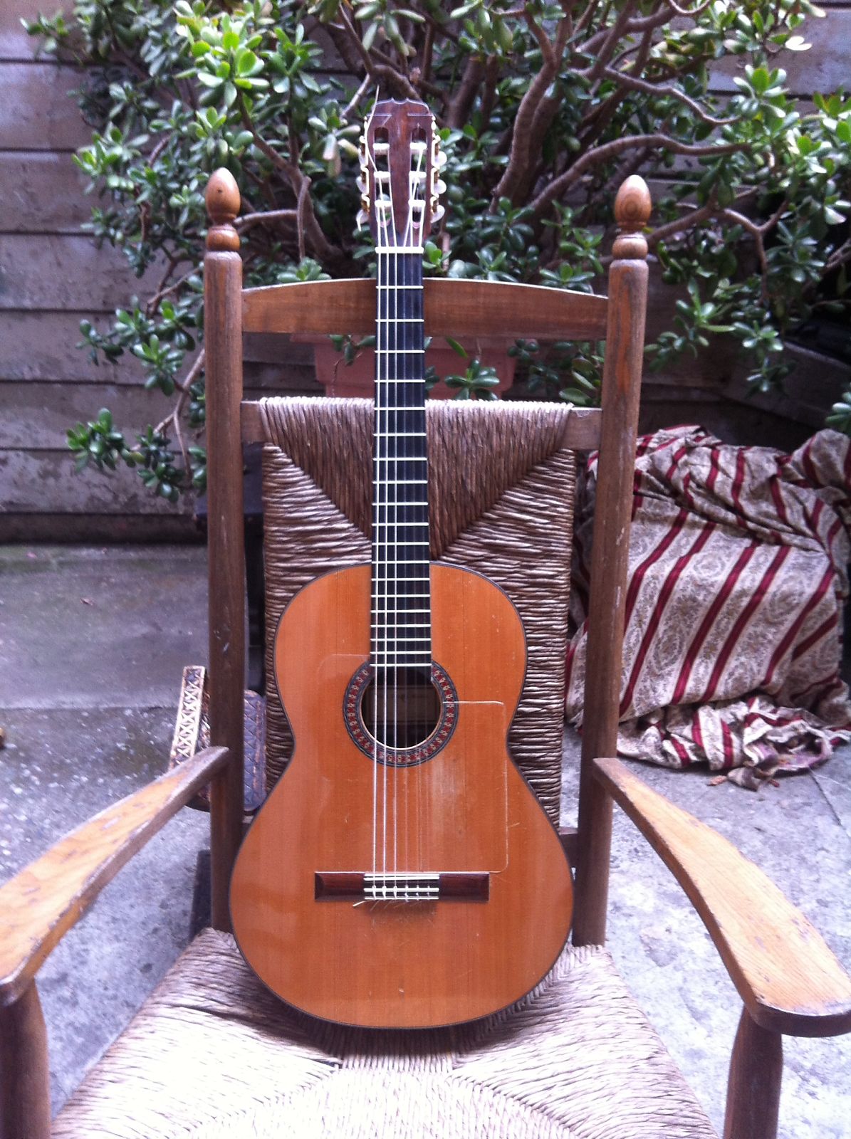 Paul Daniel McGill Guitars Jedistar