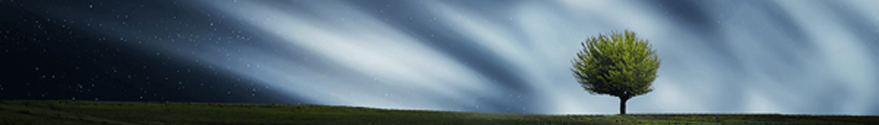 header-tree