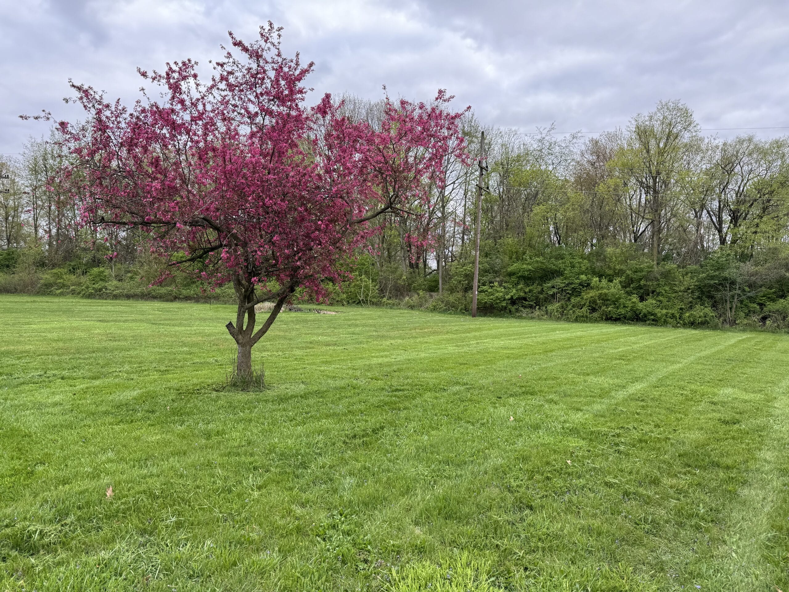 Real Estate & Personal Property Auction Marion, IN Jeff Boone