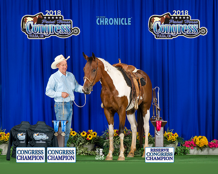 2 Champion Titles, 1 Reserve at the Paint Horse Congress Jeff