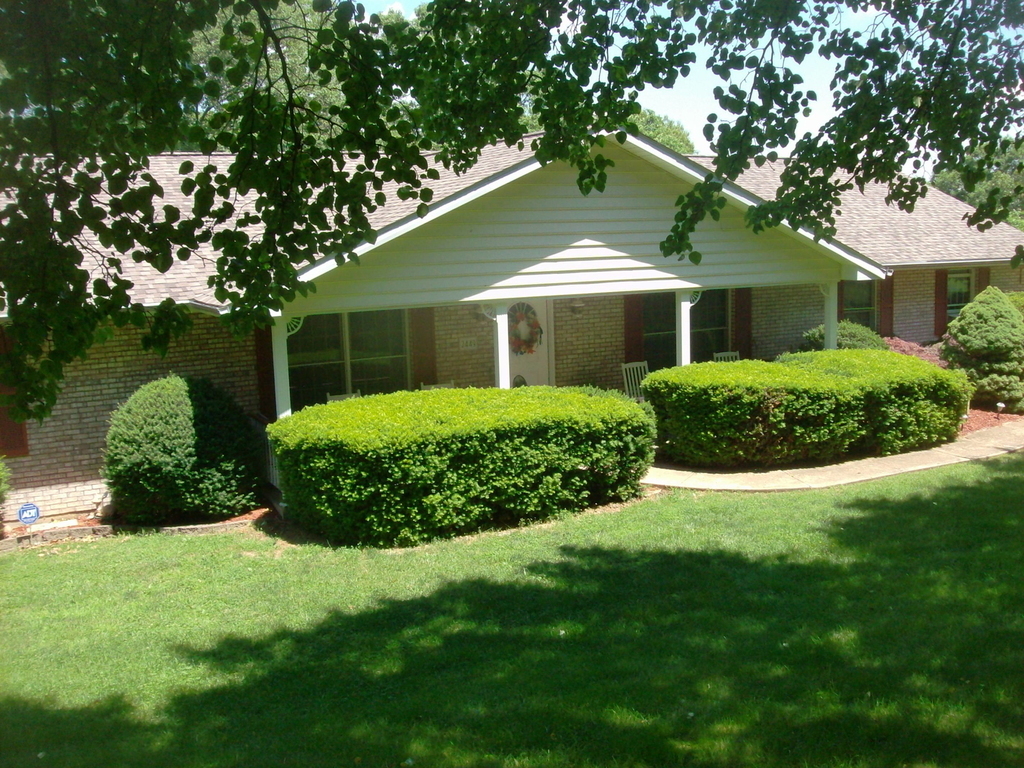 Parcel Details for 1110020000000116