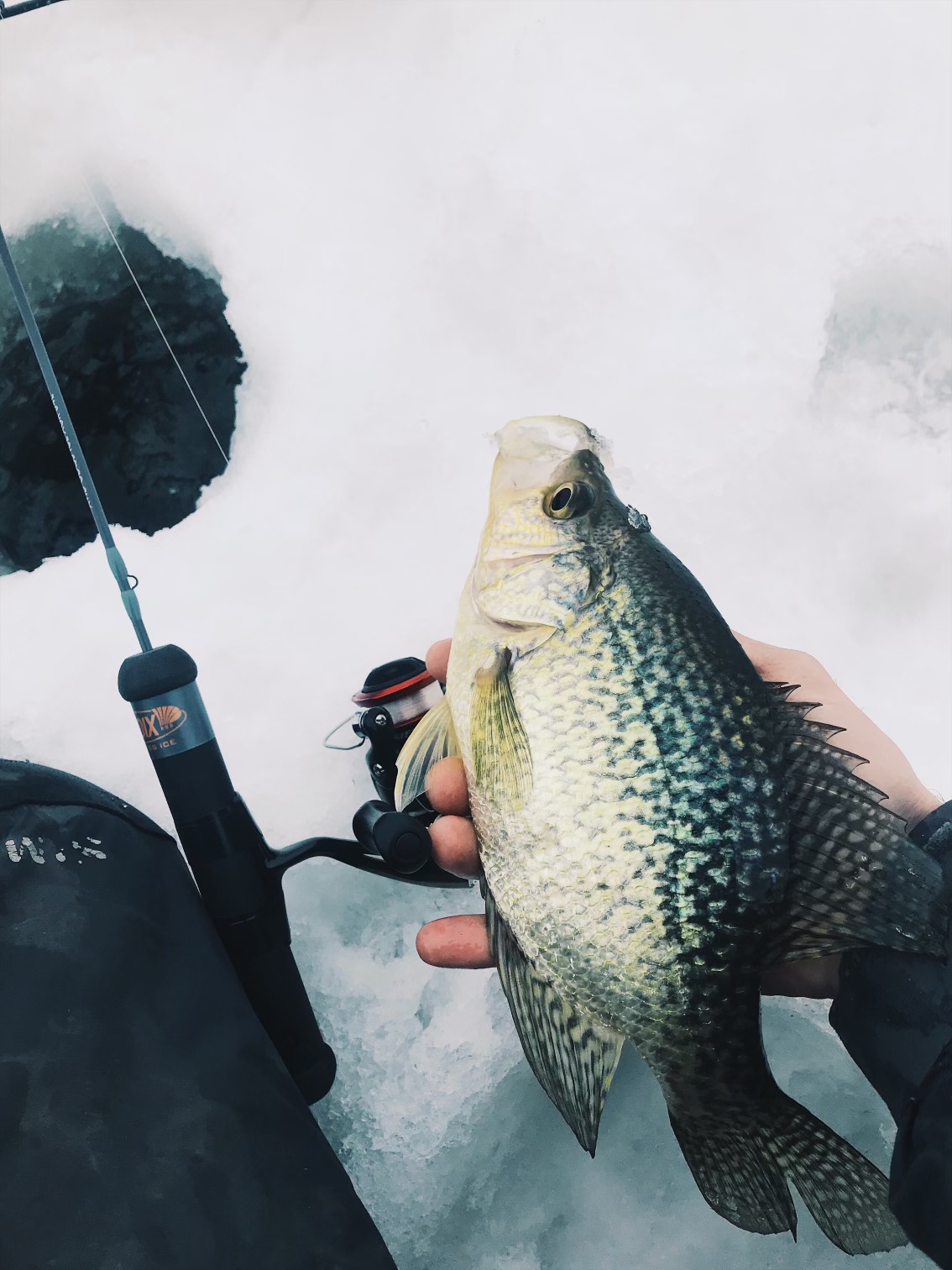 Chequamegon Bay & Hayward, WI Fishing Report 22621 Wisconsin