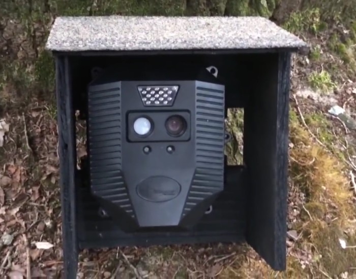 How to protect your deer camera Jeff Furr
