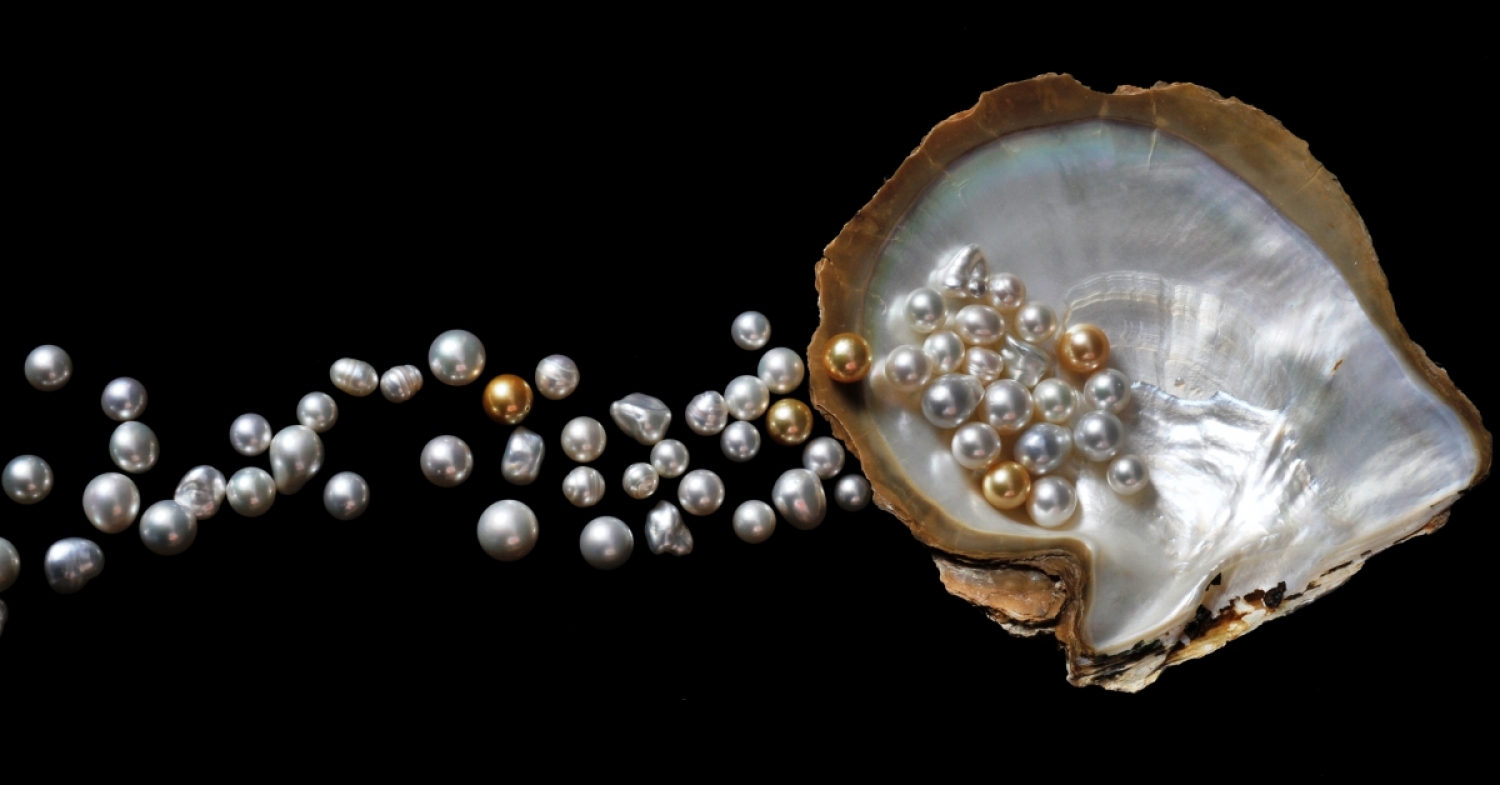 Why Are They Gates of Pearl? One Lord One Body Ministries