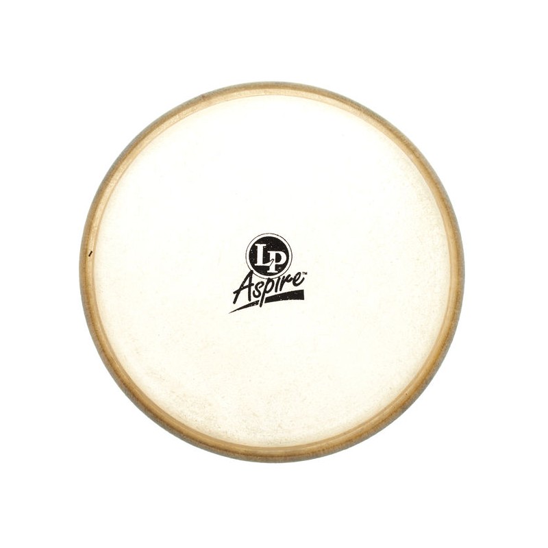 LP Bongo Head Aspire Jeff Percussion