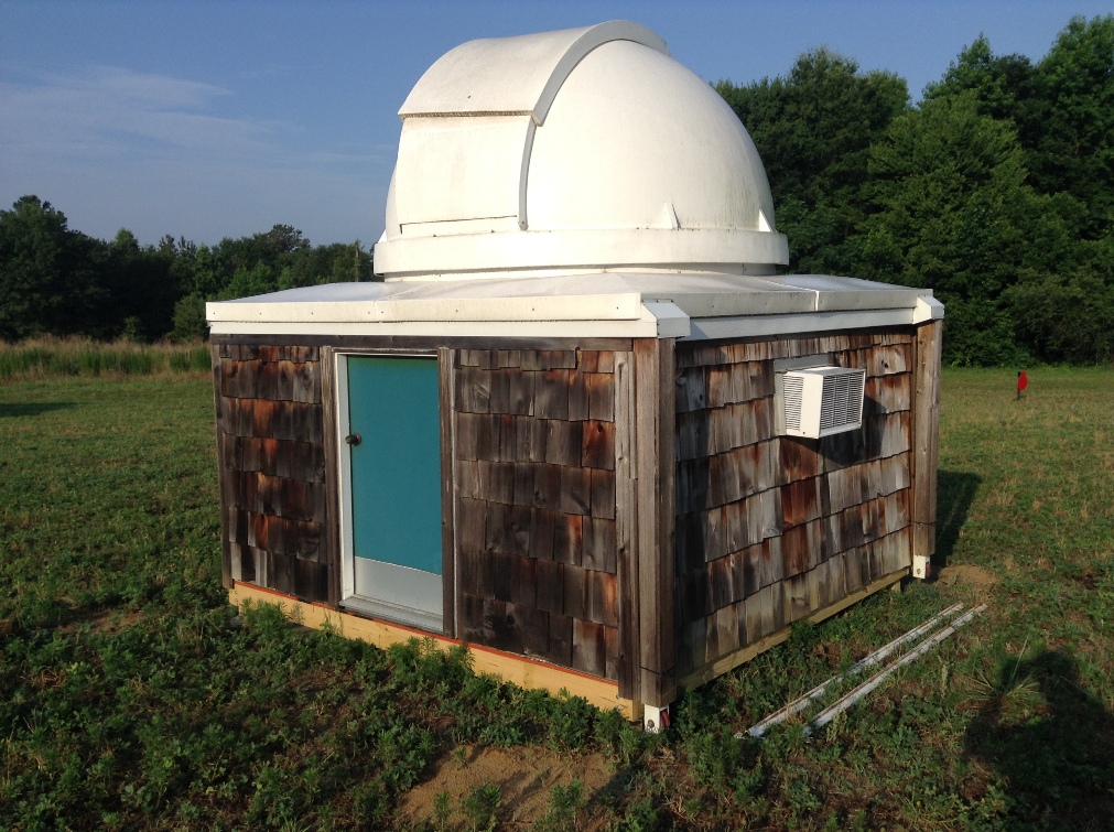 JeffPo's Garden Page 4