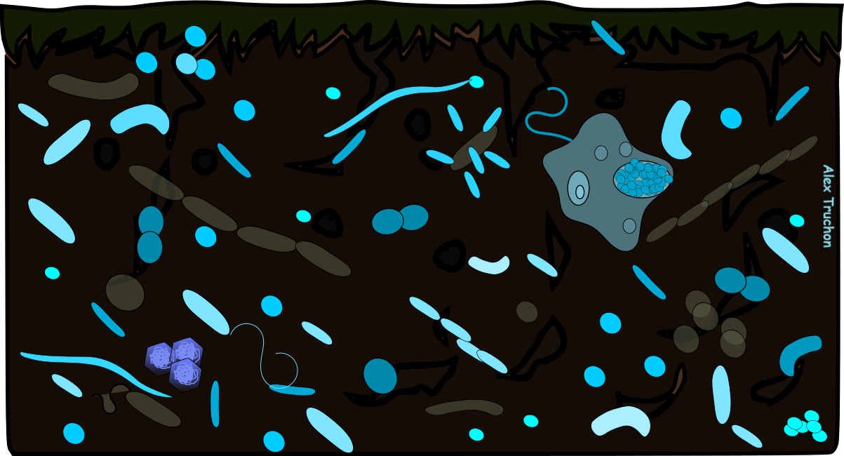 OurMicrobiome Blanchard Research Laboratory