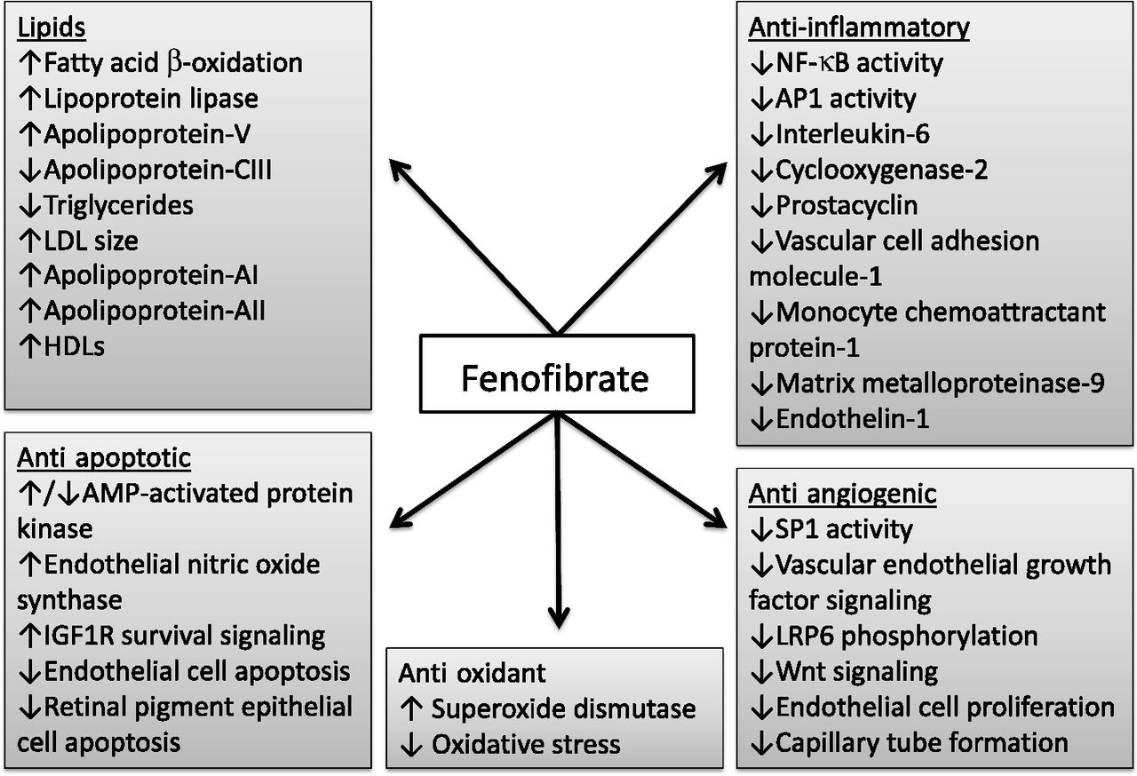 Fenofibrate AntiCancer Drug Jeffrey Dach MD