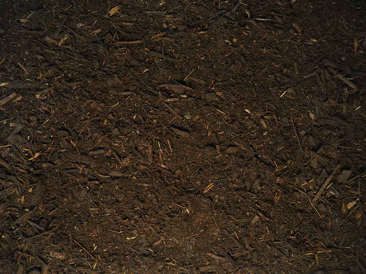 Forest Mulch