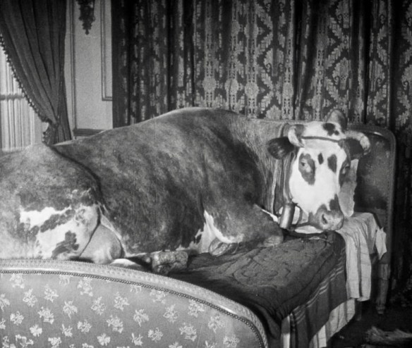 From Graphic Novel To Animated Feature The Making Of Luis Bunuel S Las Hurdes Cinema Sojourns