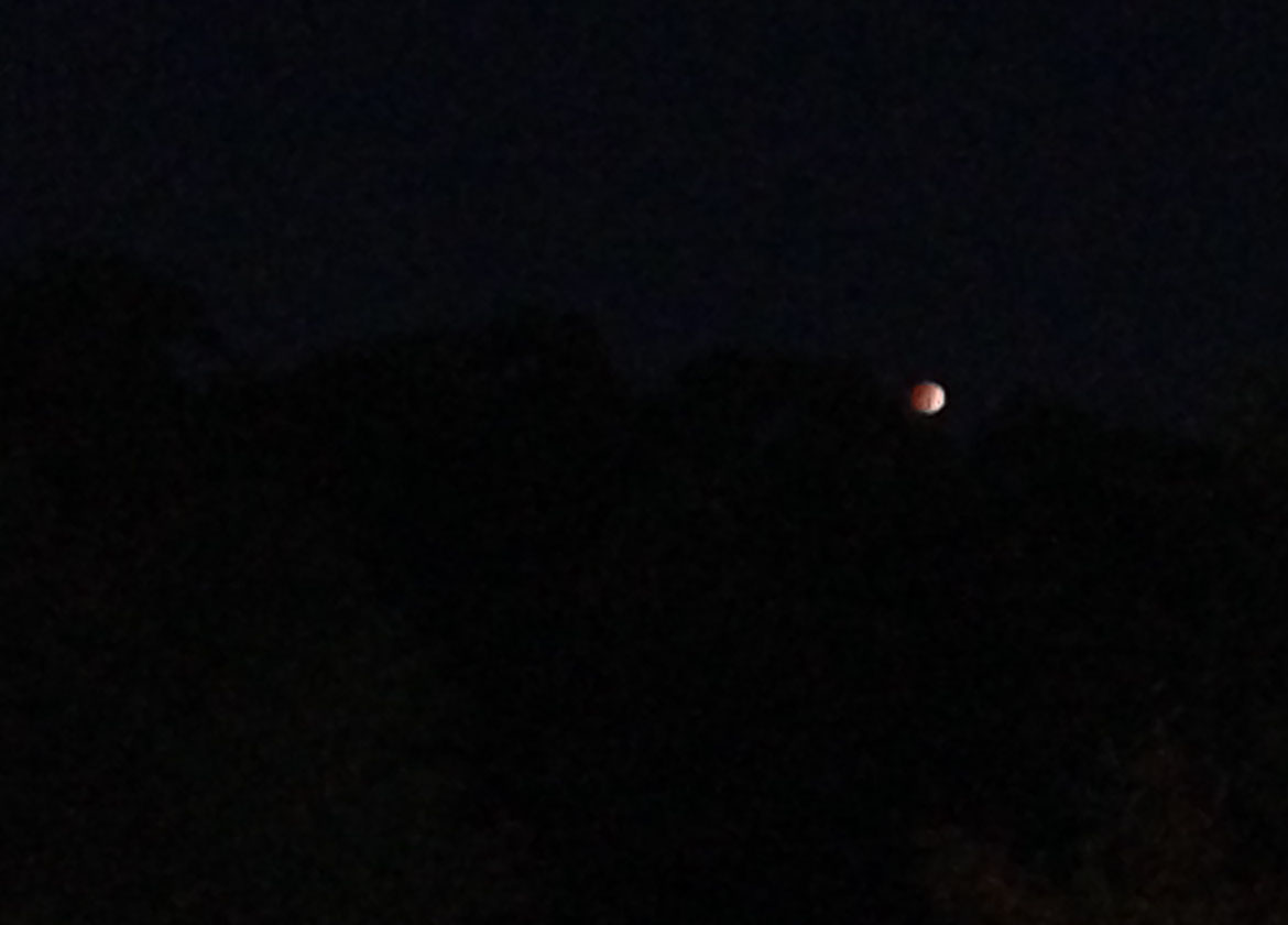 First Astrophotography Shot Jeff Wong