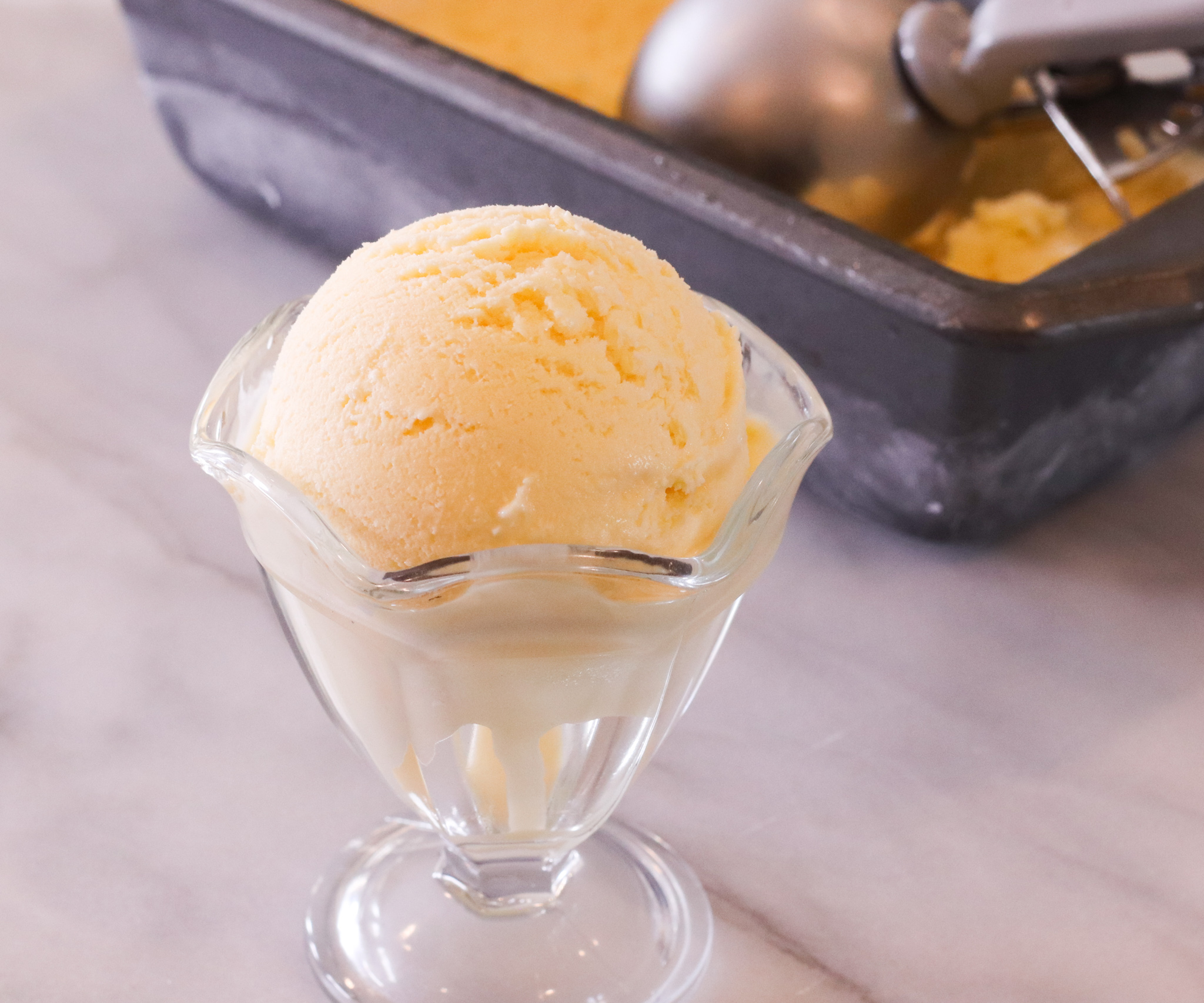 Custard Ice Cream (4) Jehan Can Cook