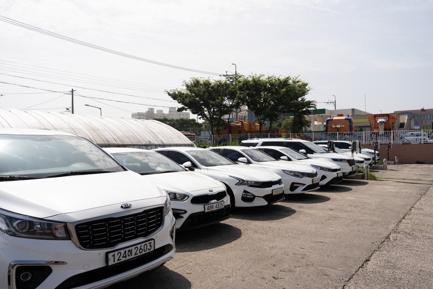 Car Rental Jeju Island Jeju Rent car JejuOne Rent A Car