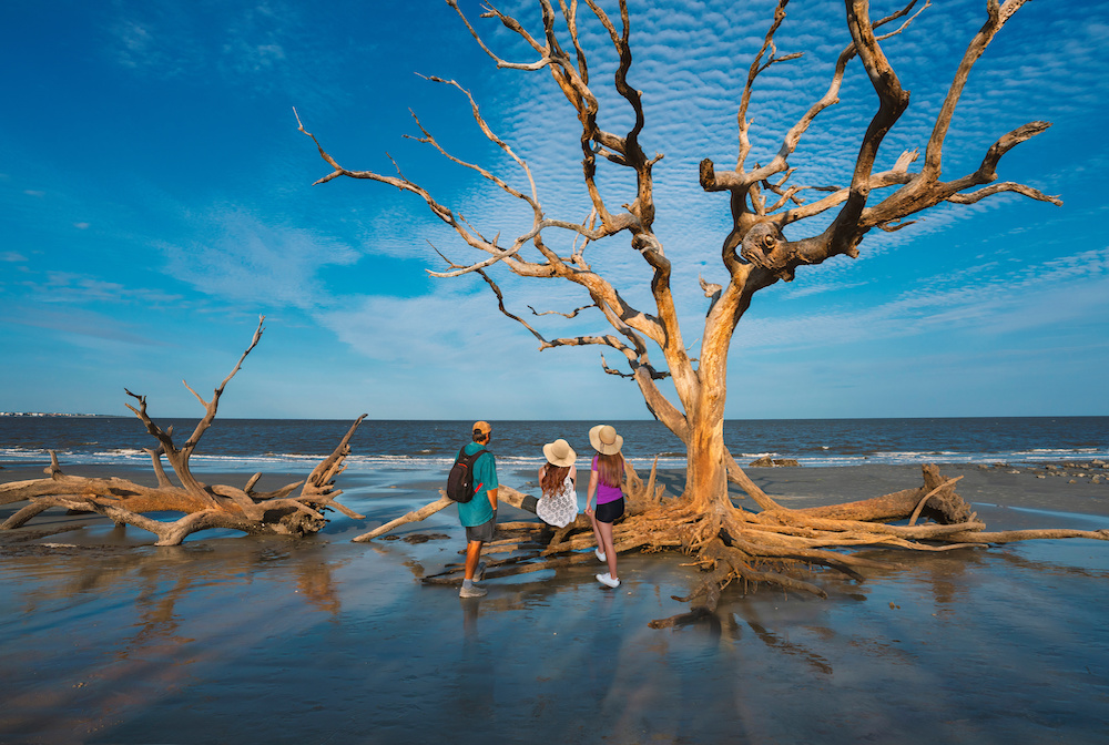 Plan a Family Vacation to Jekyll Island Jekyll Realty