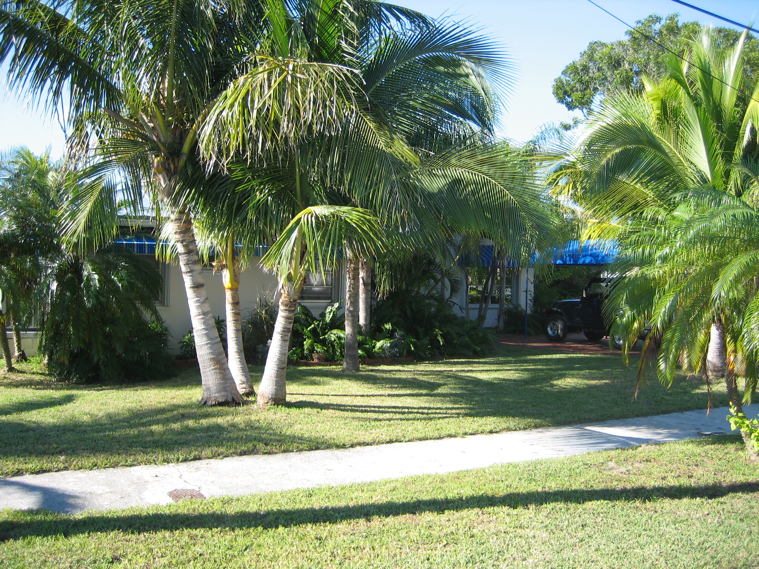 Key Haven Waterfront Key West FL Jellicle Investor's Inc