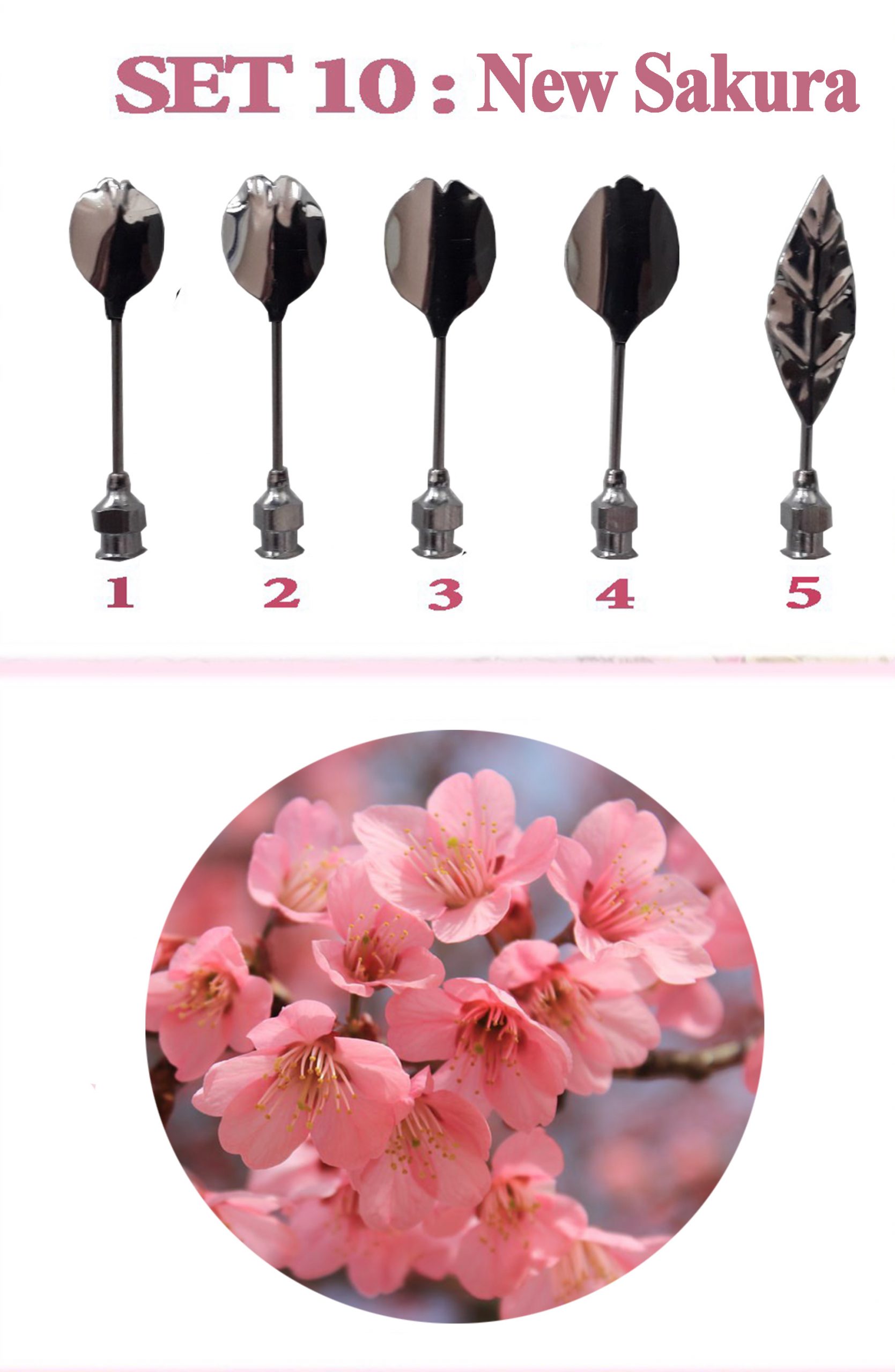 10: Sakura – Jelly Alchemy