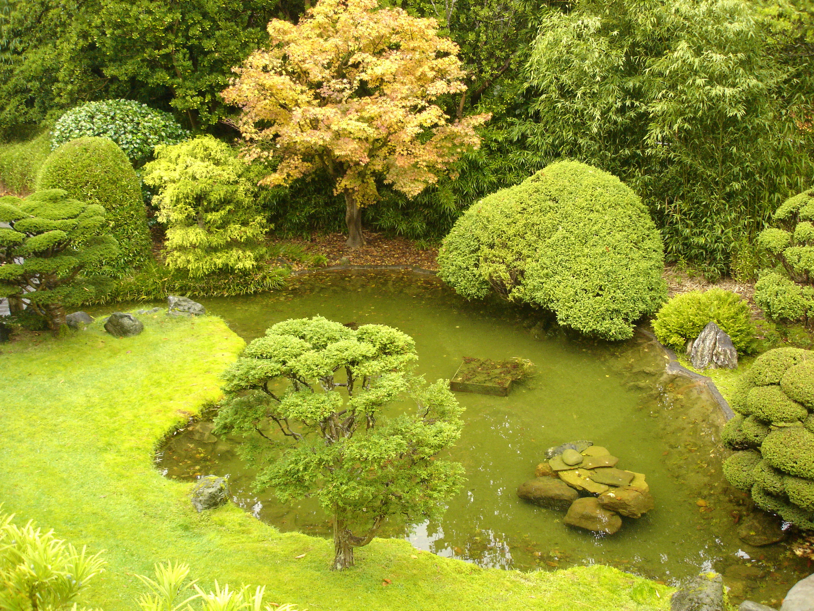 The Japanese Tea Garden in San Francisco’s Golden Gate Park Part 3