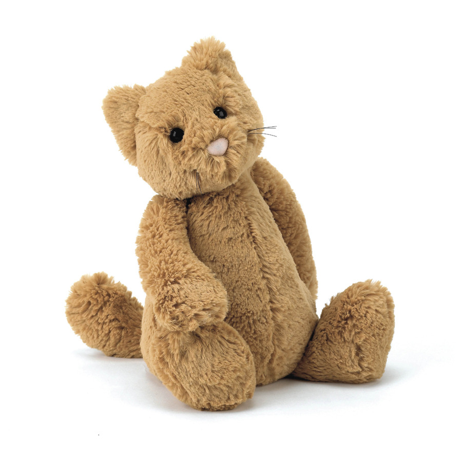 Bashful Ginger Cat Jellycat Collector Database